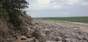 Вже не пустеля: як змінюється територія, яка раніше була під водою Каховського водосховища 