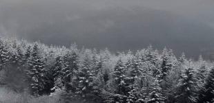 Прикордоння Львівщини засипало снігом