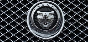 Jaguar: инстинкты разумных хищников