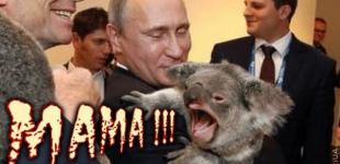 Путин и коала