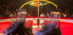 Национальный цирк Украины: «Экстрим арена»