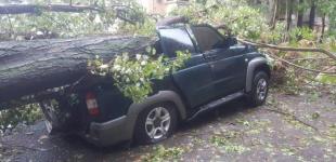 В Одессе сильный шторм и ураганный ветер