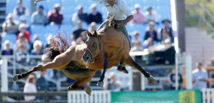 Як на родео в Уругваї сміливі вершники приборкують непокірних коней 