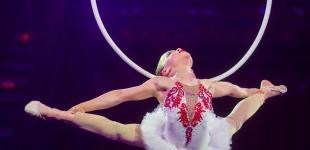 Международный молодежный фестиваль циркового искусства «Золотой каштан»