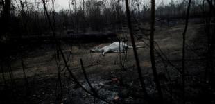 Пожары продолжают уничтожать амазонские леса