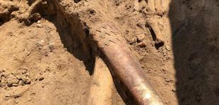 Унікальна знахідка на Запоріжжі: археологи розкопали поховання скіфського воїна з золотим мечем