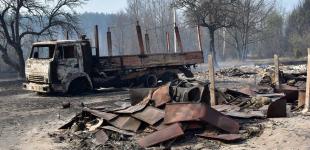Страшні пожежі на Житомирщині. Горять ліси, будинки та цвинтарі