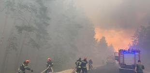 Луганщина у вогні: горять ліса та села, є загиблі