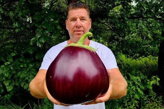 Найбільший у світі баклажан виріс у США