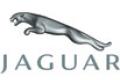 Семейство кошачьих. История автомобильной марки Jaguar