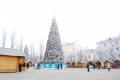Новогоднюю елку высотой 19 метров доставят в Черновцы