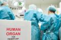 В Украине вступил в силу закон о трансплантации