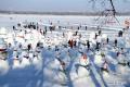 В Харбине поселились 2019 снеговиков
