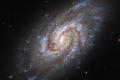 Hubble показал спиральную галактику в созвездии Часы
