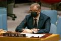 Ми хочемо, щоб РФ утрималась від права вето в ООН по Україні - представник Литви в ООН
