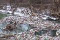 Река Боржава полностью засыпана мусором: весной Украине грозят штрафы