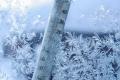 Украинцам на понедельник обещают до 14°С мороза