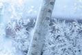 До минус 26. На Украину надвигаются сильные морозы и снегопады