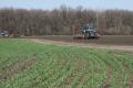 Ранние зерновые в Украине посеяны уже на 93% запланированных площадей