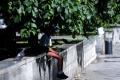 Від 19° на заході до 36° на сході: прогноз погоди в Україні на середу, 10 серпня