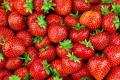 Фрукты и ягоды бьют рекорды дороговизны: что будет с ценами на 