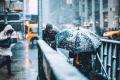 В пятницу 9 февраля в Украине на западе – снег, на востоке - дождь