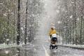 Февраль в Украине начнется со снегопадов и морозов