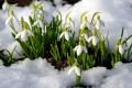 Українців попередили про сильні морози до -12°: де 17 березня буде холодніше