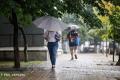 Дощі, грози та град: прогноз погоди на 14 червня