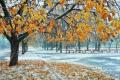 На початку листопада в Україні випаде сніг і вдарять морози: де похолодає