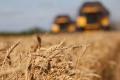 Урожай зерна на 7 миллионов тонн меньше, но дефицита хлеба не будет. Почему?