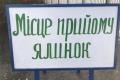 В Киеве открылись пункты приема новогодних елок, сосен и смерек