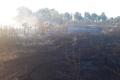 В Черкасской области вспыхнул масштабный пожар на торфяниках 