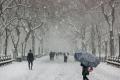 Синоптик рассказал, стоит ли украинцам ждать морозной и снежной зимы
