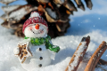 Будет ли снег в Украине на Новый год: синоптик уточнил прогноз погоды