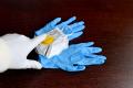 Медицинские перчатки от коронавируса: как правильно использовать