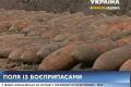 На Донбасе обнаружили сотни снарядов времен Второй мировой войны