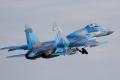 Повітряні сили ЗСУ знищили два винищувачі Су-30