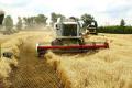 В Украине собрали почти 40 миллионов тонн зерна