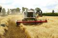 Аграрии уже собрали почти 20 миллионов тонн зерна