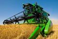 В Украине намолотили более 21 миллиона тонн ранних зерновых - Минагро