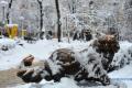 В ближайшие дни в Украине — до 10° мороза, мокрый снег и гололедица