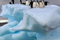 Украинские ученые предрекут изменение климата в Антарктиде и Арктике