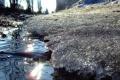 Україні прогнозують до +15°, подекуди вранішній туман