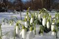 8 марта в Украине будет со снегом и морозом