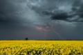 В Україні прогнозують спеку до 37°, подекуди - дощі та грози