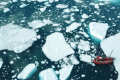 Ледяной покров Гренландии тает с рекордной скоростью — ученые