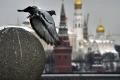 На росТБ пропонують не обмежуватися Україною та «бахнути» по світу