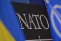 Сотрудничество Украины и НАТО будет усилено в ближайшее время - спецпредставитель генсека