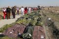 Завершилась идентификация тел погибших в катастрофе самолета МАУ украинцев